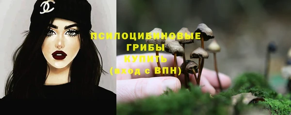 Альфа ПВП Балабаново