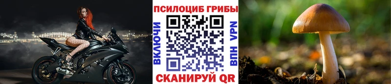 kraken онион Печоры Галлюциногенные грибы GOLDEN TEACHER